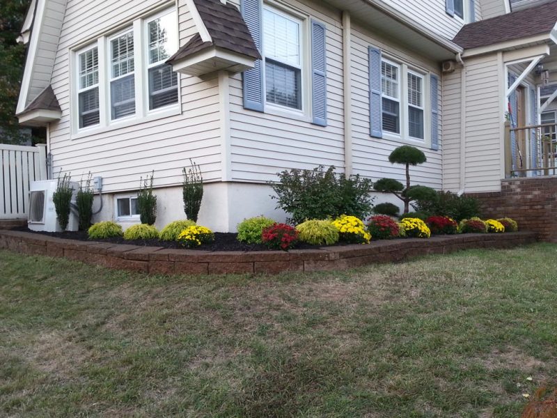 Front Yard Design