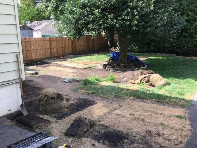 Sod Installation