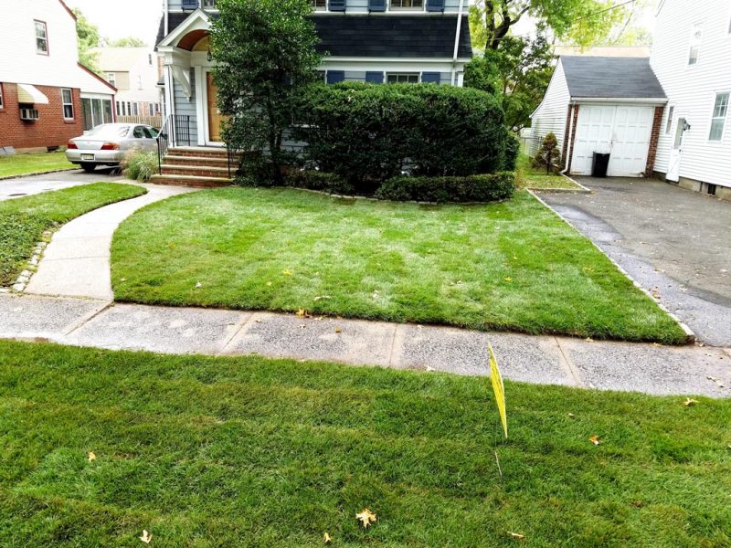 Sod Installation 3