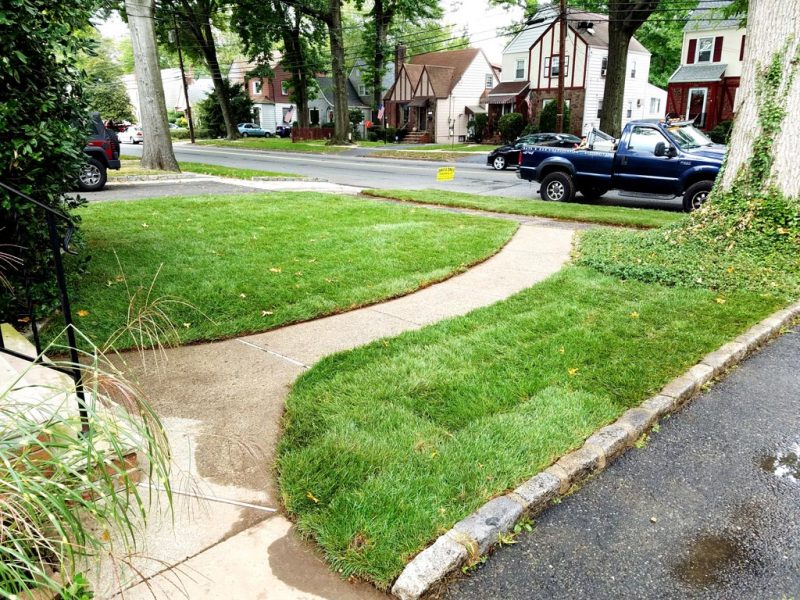 Sod Installation 3