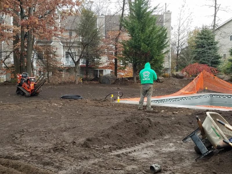 Sod Installation 5