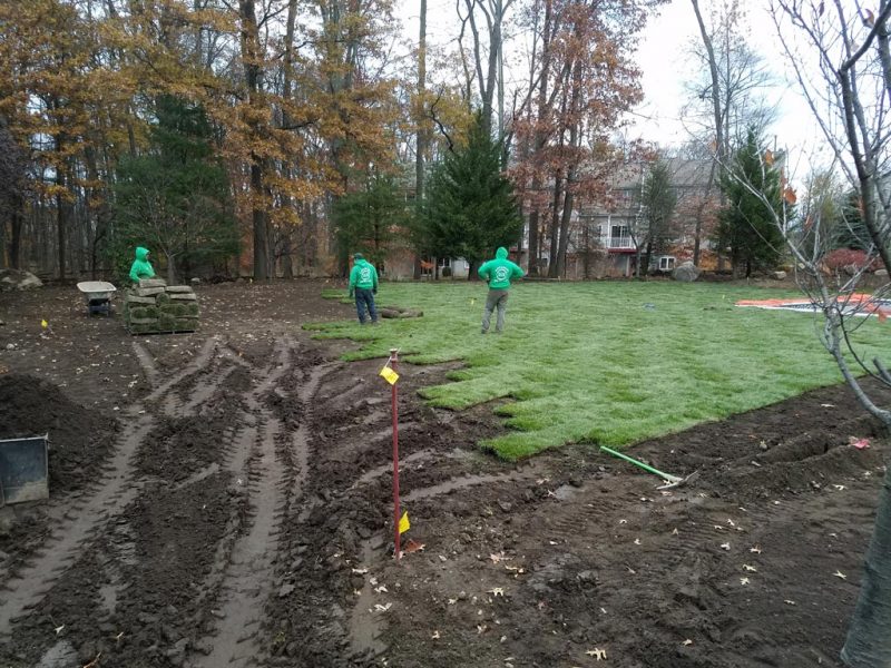 Sod Installation 5