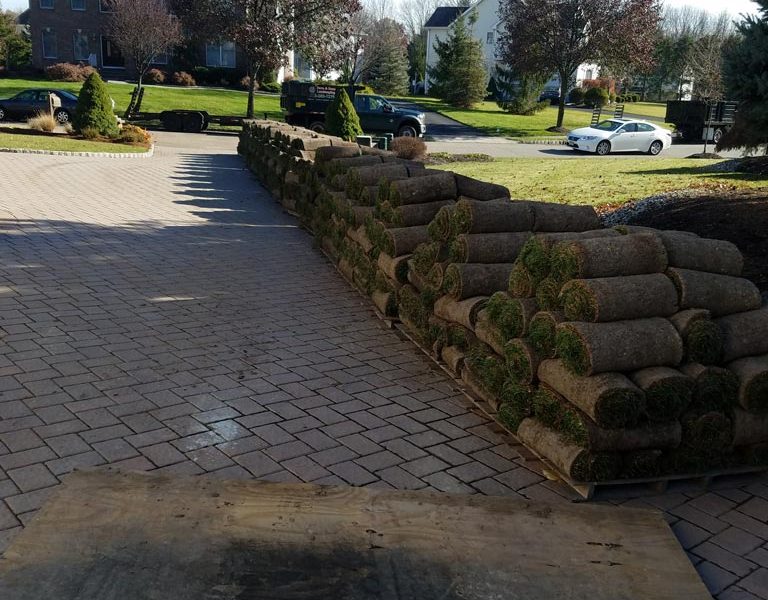 Sod Installation 5