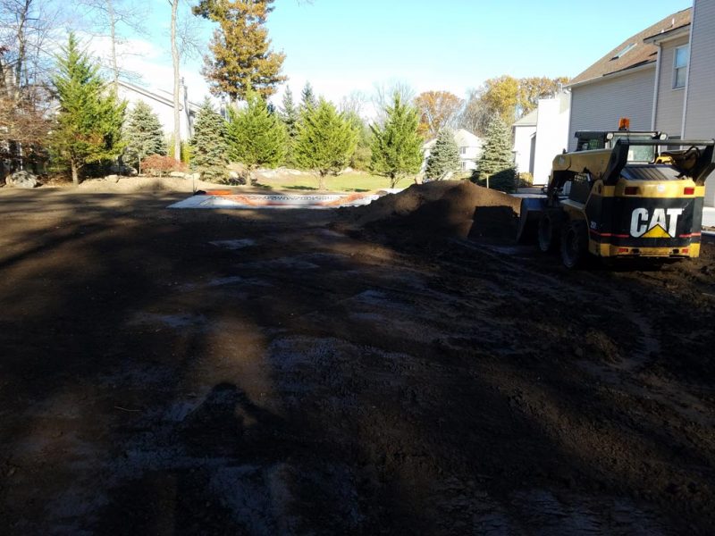 Sod Installation 5