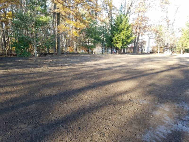 Sod Installation 5