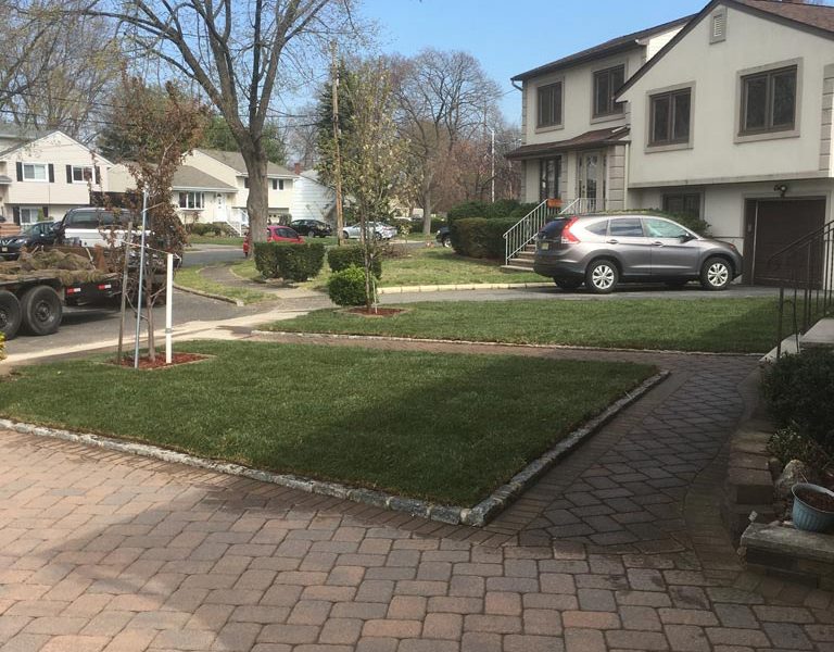 Sod Installation 7