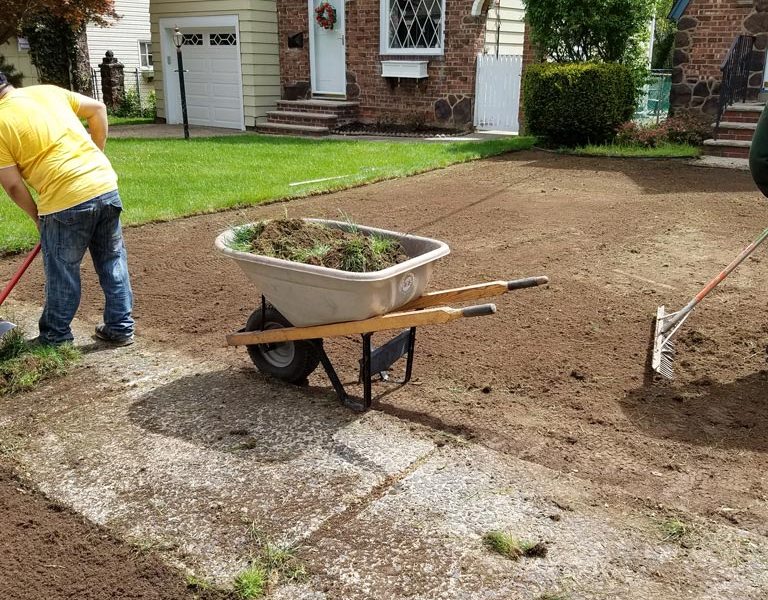 Sod Installation 7