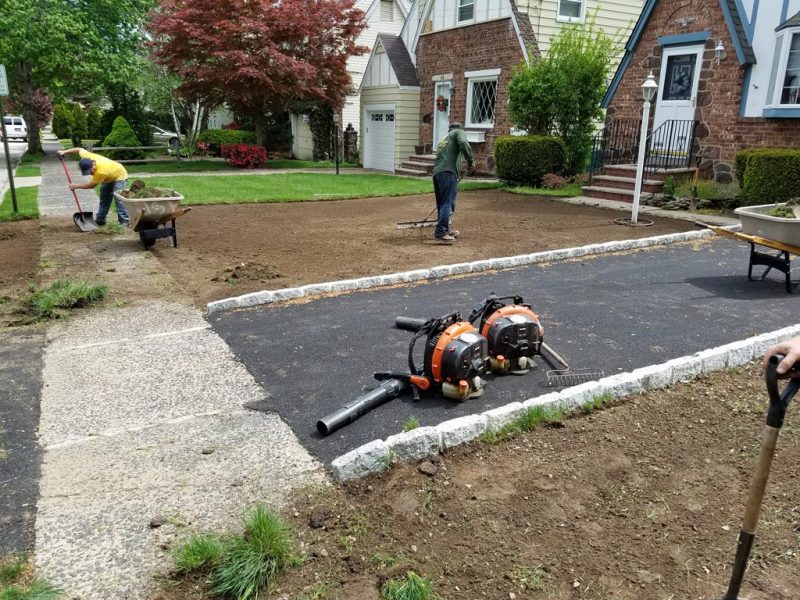 Sod Installation 7