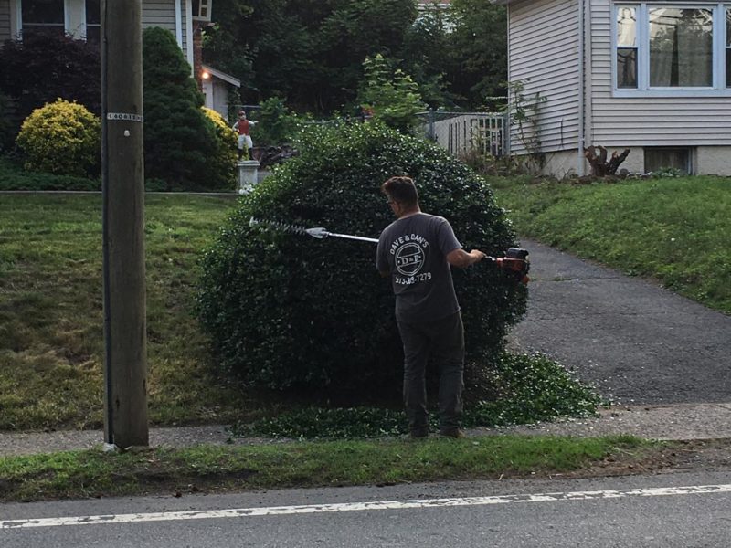 Landscape Maintenance - Trimming